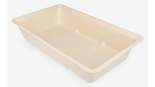 DS grote frietbakjes A14