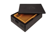 Thermo Future Box DL994
